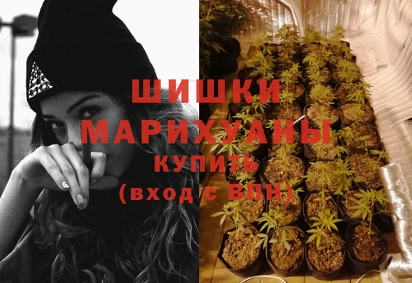 сатива Мегион