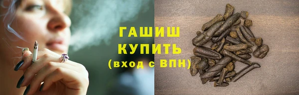 прущие грибы Медвежьегорск