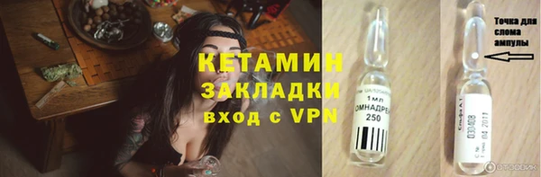 прущие грибы Медвежьегорск