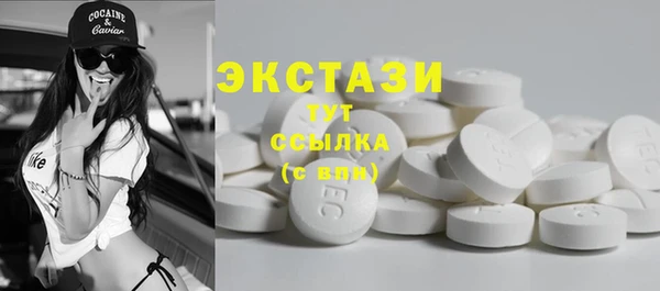 прущие грибы Медвежьегорск