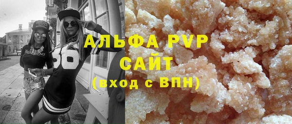 прущие грибы Медвежьегорск