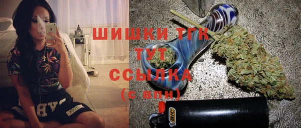 прущие грибы Медвежьегорск