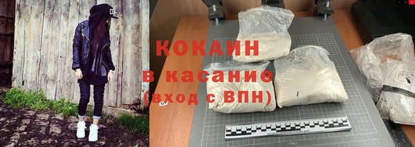 сатива Мегион